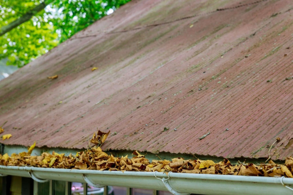 Iron gutter cover on a roof partially buried in yellow fall leaves.
