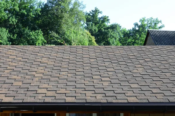 A freshly installed modern roof with trees and the sky in the background.