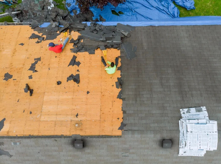 A team of workers remove old shingles during a commercial roof replacement.